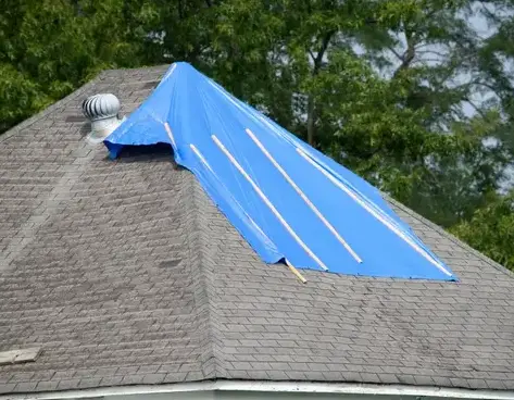 nettoyage de toiture Saint-Gildas-des-Bois-3